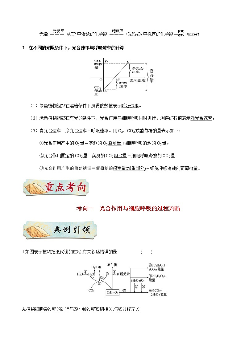 考点18  光合作用和细胞呼吸的综合-备战2021年高考生物一轮复习考点一遍过 学案02