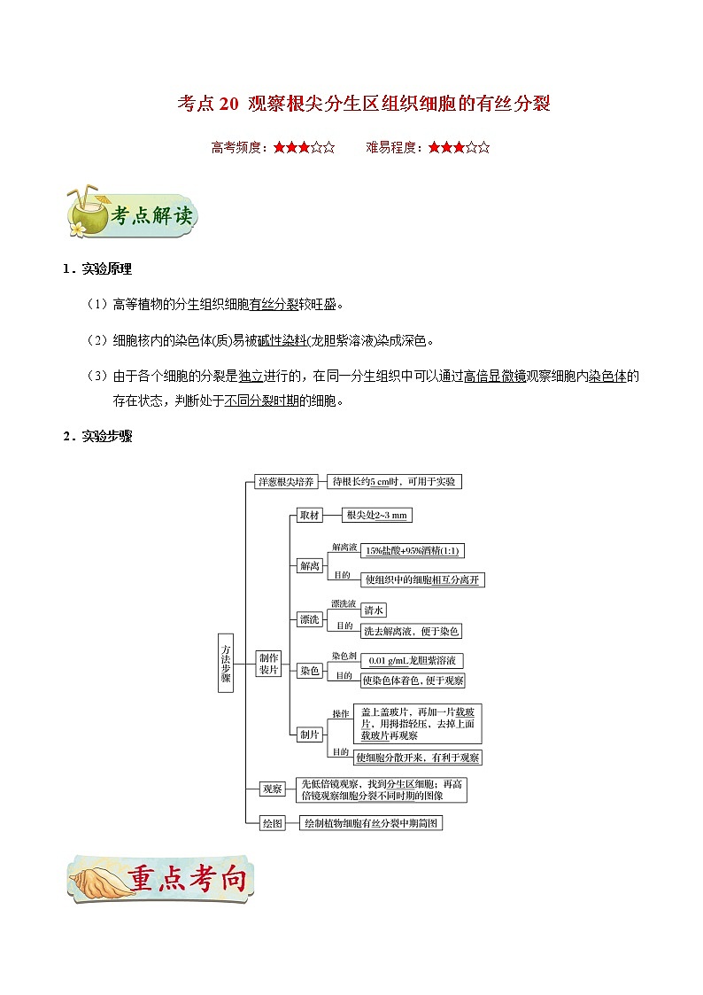 考点20 观察根尖分生区组织细胞的有丝分裂-备战2021年高考生物一轮复习考点一遍过 学案01