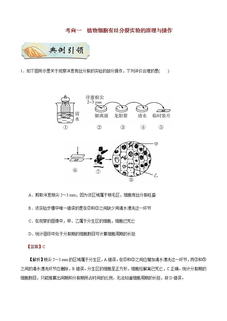 考点20 观察根尖分生区组织细胞的有丝分裂-备战2021年高考生物一轮复习考点一遍过 学案02