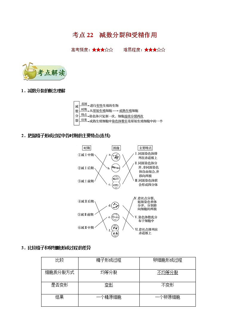 考点22  减数分裂和受精作用-备战2021年高考生物一轮复习考点一遍过 学案01