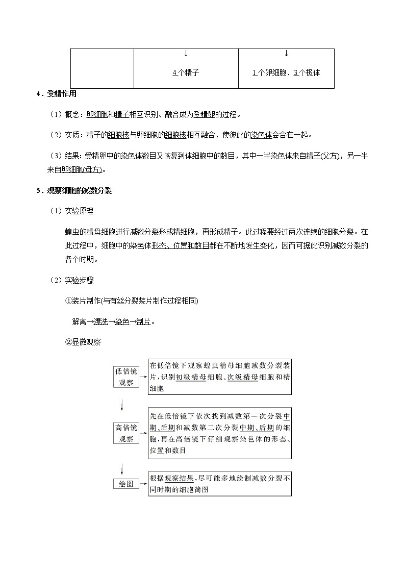 考点22  减数分裂和受精作用-备战2021年高考生物一轮复习考点一遍过 学案02