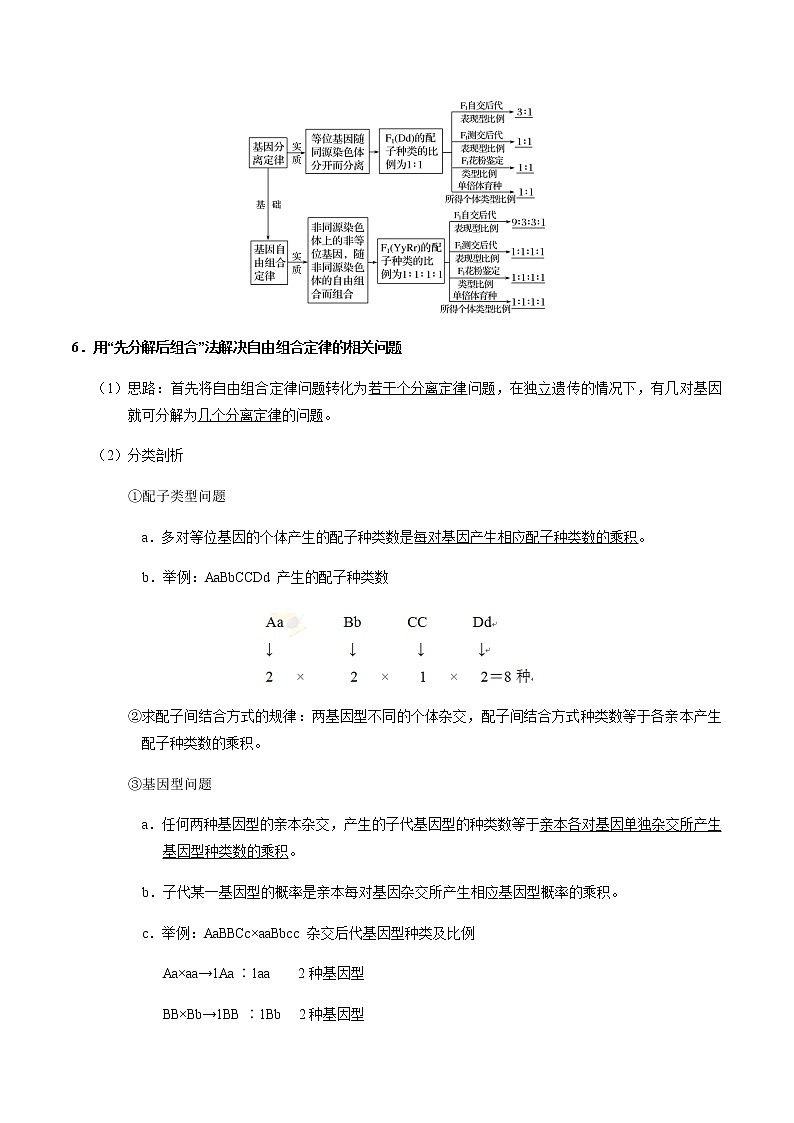考点29  基因的自由组合定律-备战2021年高考生物一轮复习考点一遍过第3页