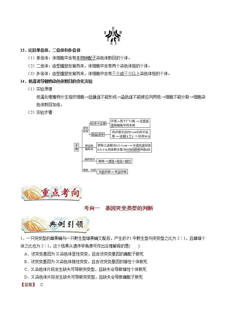 考点33  基因突变、基因重组、染色体变异-备战2021年高考生物一轮复习考点一遍过 学案03