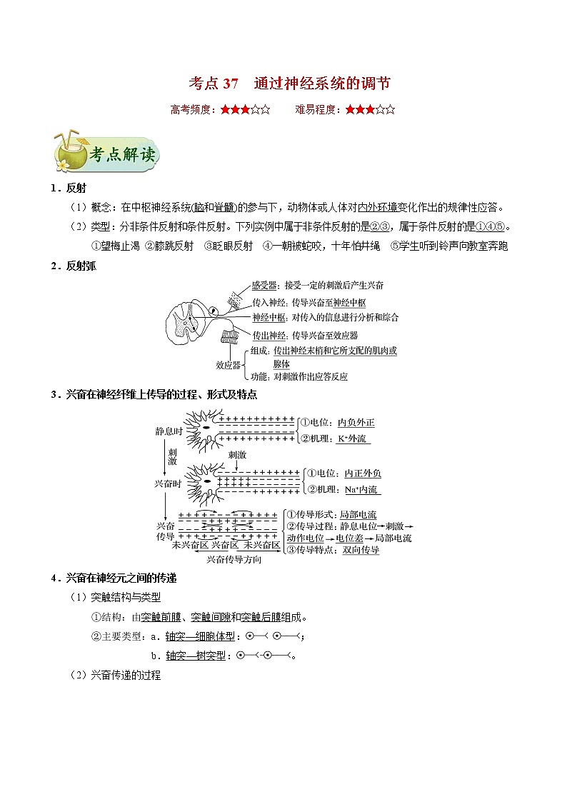 考点37  通过神经系统的调节-备战2021年高考生物一轮复习考点一遍过第1页