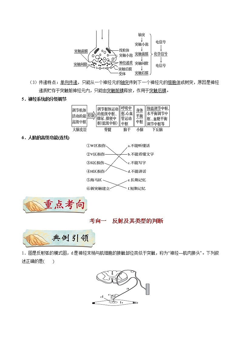 考点37  通过神经系统的调节-备战2021年高考生物一轮复习考点一遍过第2页