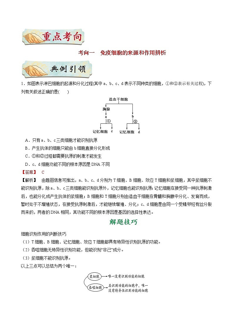 考点39 免疫调节-备战2021年高考生物一轮复习考点一遍过 学案03
