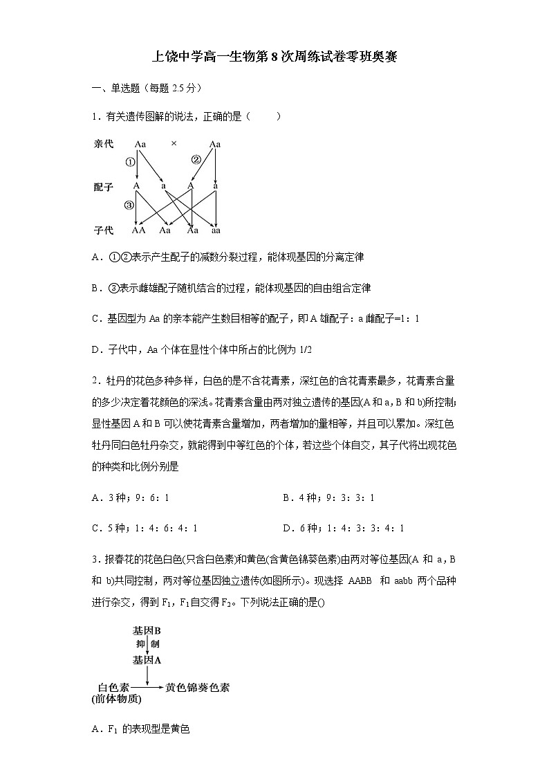 高一生物周练8零班奥赛（无答案）第1页