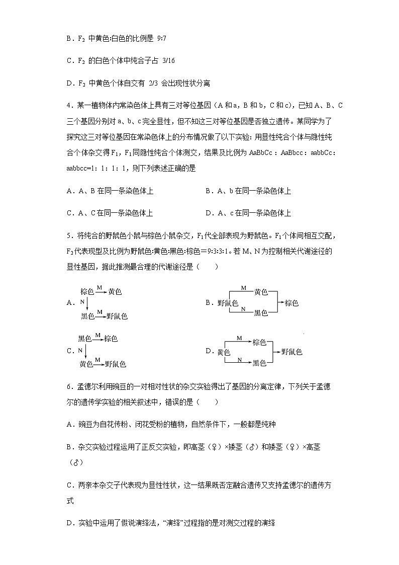 高一生物周练8零班奥赛（无答案）第2页