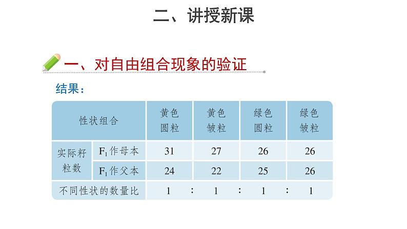 人教版（2019）高中生物必修2第1章 遗传因子的发现【教学课件】第2节 孟德尔的豌豆杂交实验（二） 第2课时 示范课件04