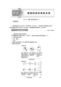 高中生物人教版 (2019)必修2《遗传与进化》第2章 基因和染色体的关系第1节 减数分裂和受精作用一 减数分裂优秀学案及答案