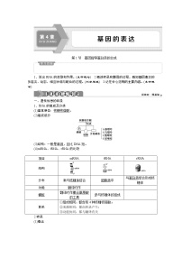 人教版 (2019)必修2《遗传与进化》第4章 基因的表达第1节 基因指导蛋白质的合成优秀学案及答案