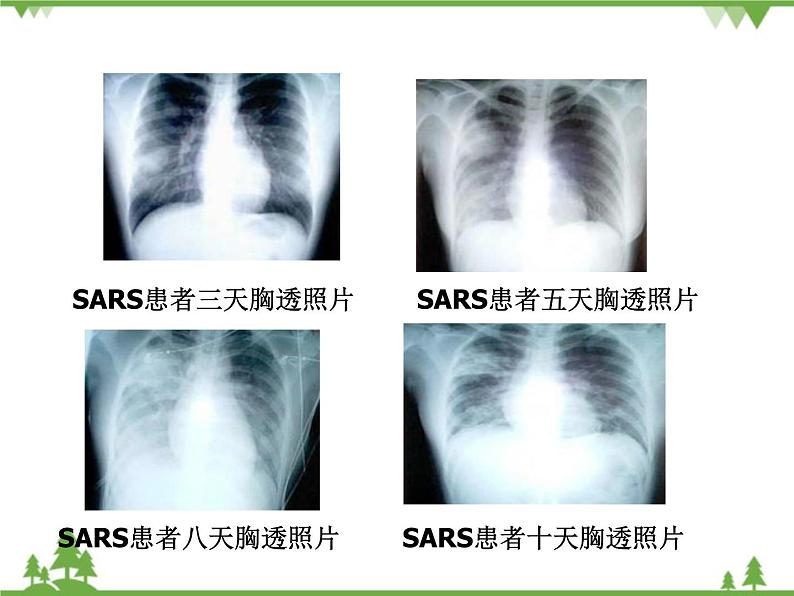 人教版生物必修一1.1《从生物圈到细胞》PPT课件+教学设计+同步练习05