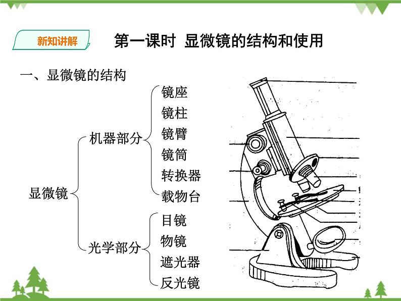 人教版生物必修一1.2《显微镜的结构和使用》第1课时PPT课件+教学设计+同步练习03