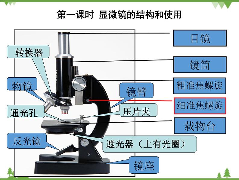 人教版生物必修一1.2《显微镜的结构和使用》第1课时PPT课件+教学设计+同步练习04