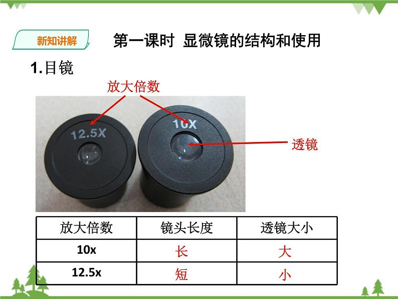 人教版生物必修一1.2《显微镜的结构和使用》第1课时PPT课件+教学设计+同步练习05