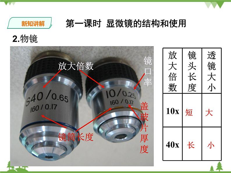 人教版生物必修一1.2《显微镜的结构和使用》第1课时PPT课件+教学设计+同步练习06