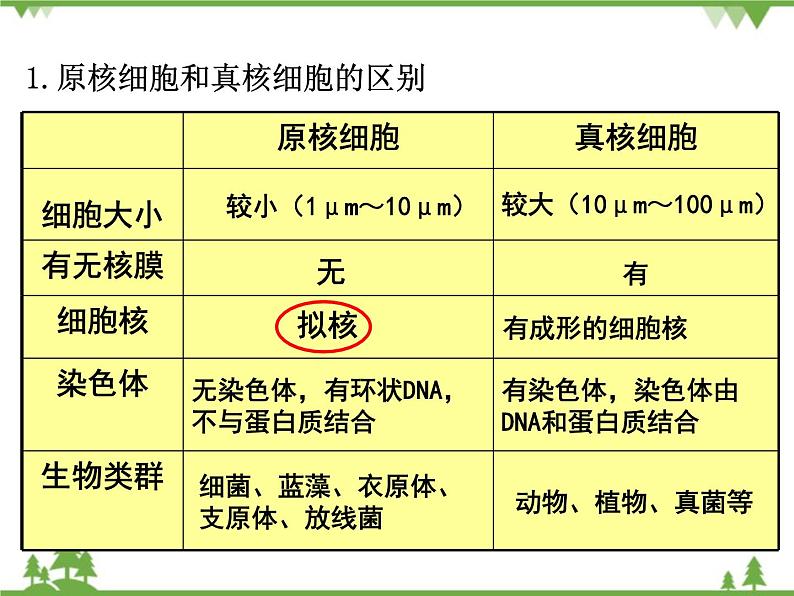 人教版生物必修一1.2《细胞的多样性与统一性》第2课时PPT课件+ 教学设计 +同步练习05