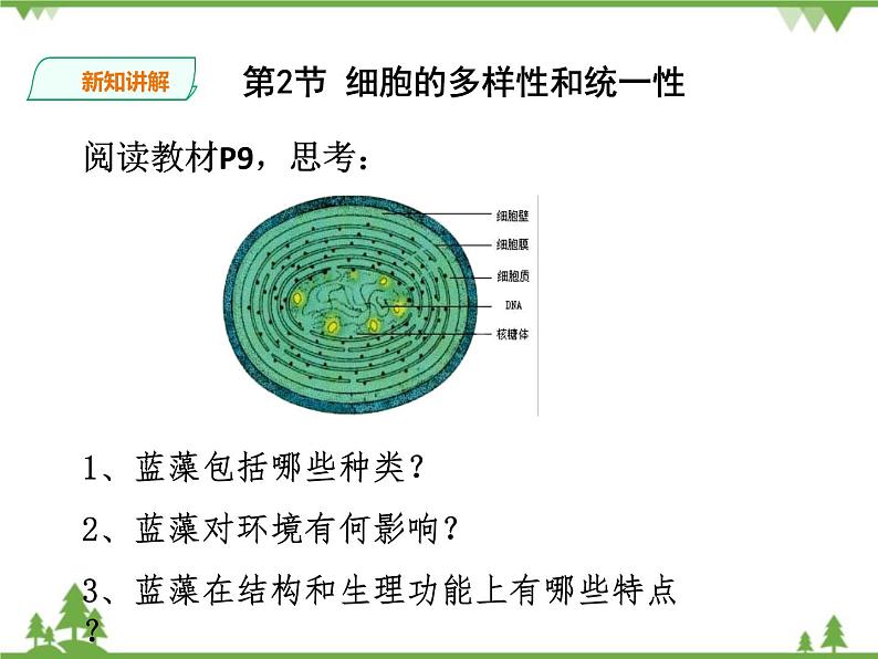 人教版生物必修一1.2《细胞的多样性与统一性》第2课时PPT课件+ 教学设计 +同步练习07