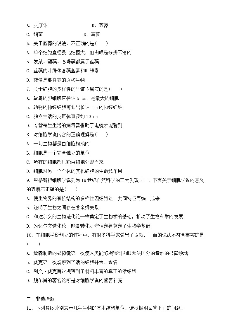 人教版生物必修一1.2《细胞的多样性与统一性》第2课时PPT课件+ 教学设计 +同步练习02