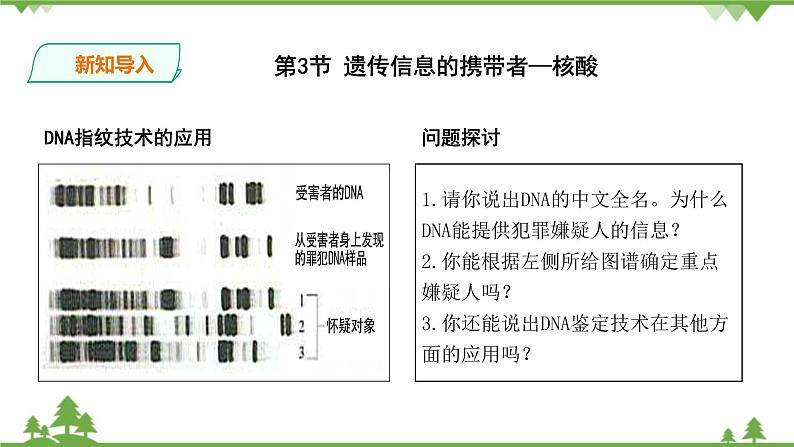 人教版生物必修一2.3《遗传信息的携带者-核酸》PPT课件+教学设计+同步练习03