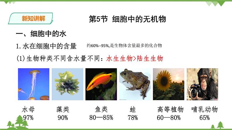 人教版生物必修一2.5《细胞中的无机物》PPT课件+教学设计+同步练习03