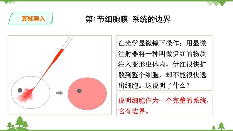 人教版生物必修一3.1《细胞膜-系统的边界》PPT课件+教学设计+同步练习02