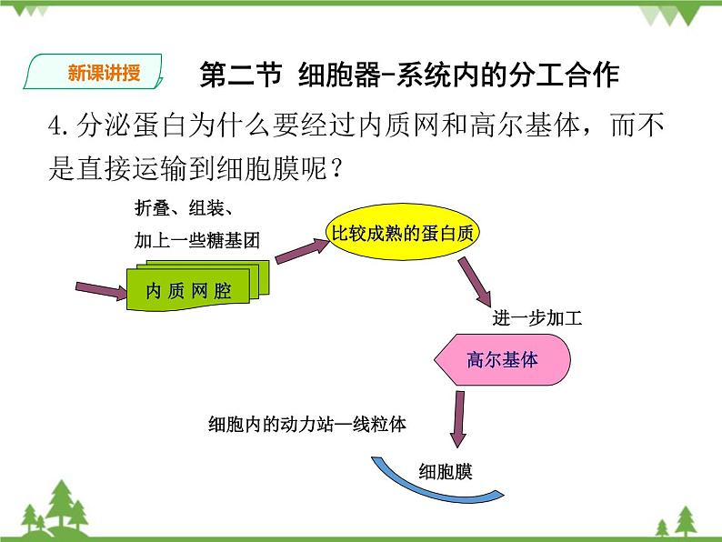 人教版生物必修一3.2《细胞器-系统内的分工合作》第二课时PPT课件+教学设计+同步练习08