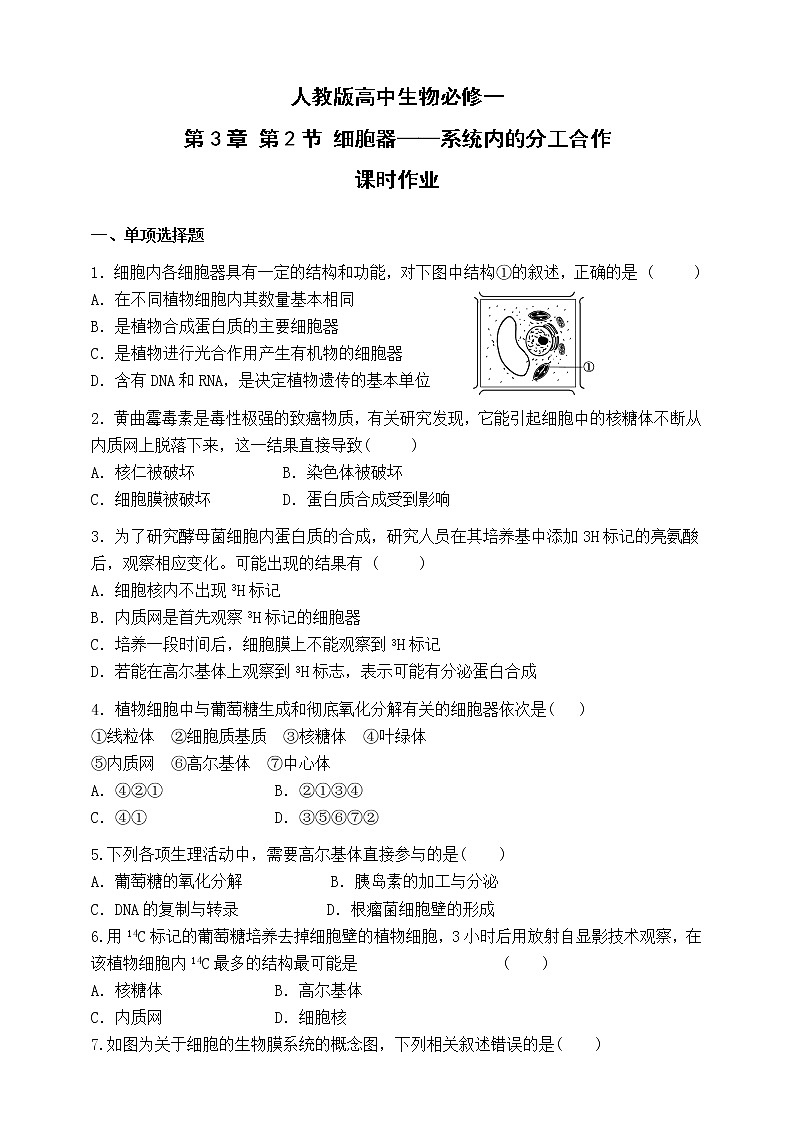 人教版生物必修一3.2《细胞器-系统内的分工合作》第二课时PPT课件+教学设计+同步练习01