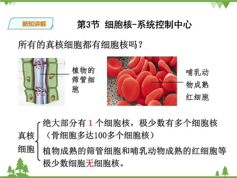 人教版生物必修一3.3《细胞核-系统控制中心》PPT课件+教学设计+同步练习03