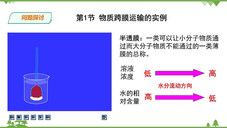 人教版生物必修一4.1《物质跨膜运输的实例》PPT课件+教学设计+同步练习03