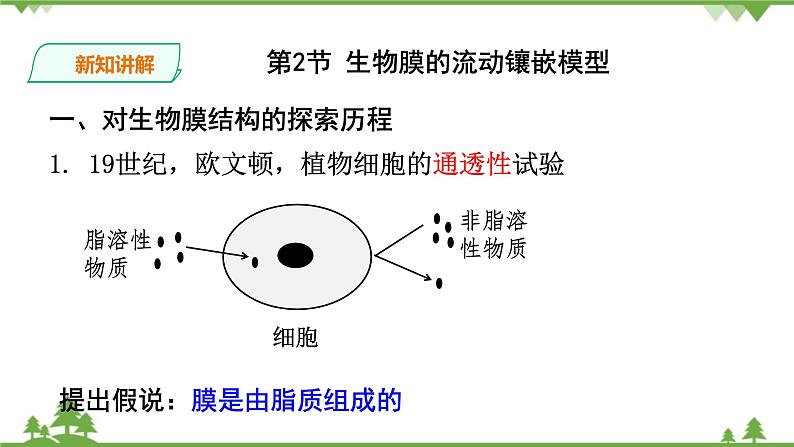 人教版生物必修一4.2《生物膜的流动镶嵌模型》PPT课件+教学设计+同步练习03