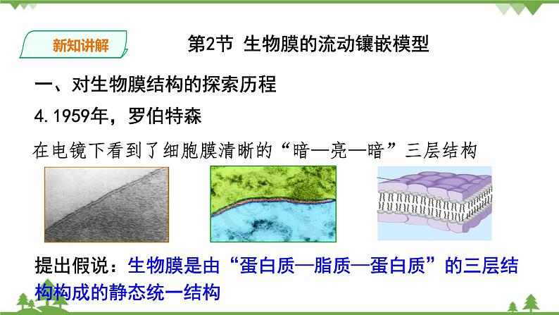 人教版生物必修一4.2《生物膜的流动镶嵌模型》PPT课件+教学设计+同步练习08