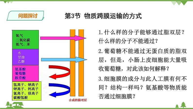 人教版生物必修一4.3《物质跨膜运输的方式》PPT课件+教学设计+同步练习03