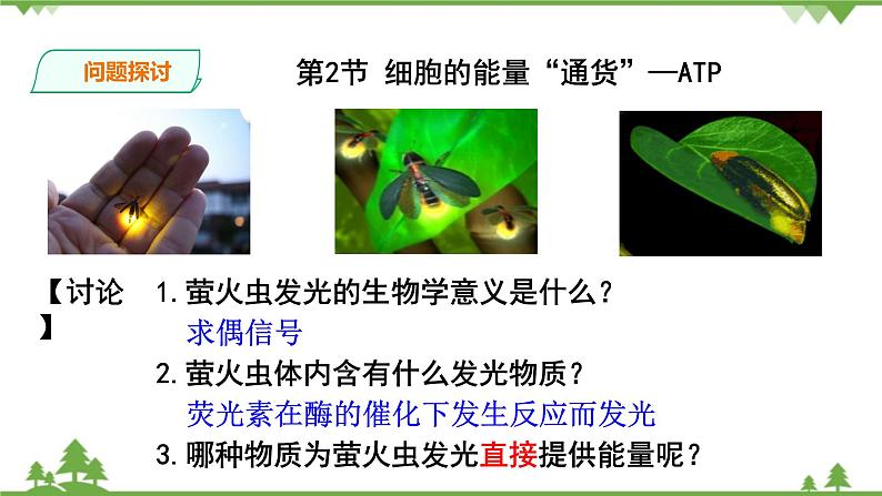 人教版生物必修一5.2《细胞的能量“通货”—ATP》PPT课件+教学设计+同步练习03