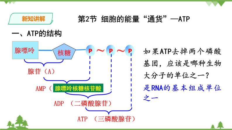 人教版生物必修一5.2《细胞的能量“通货”—ATP》PPT课件+教学设计+同步练习08