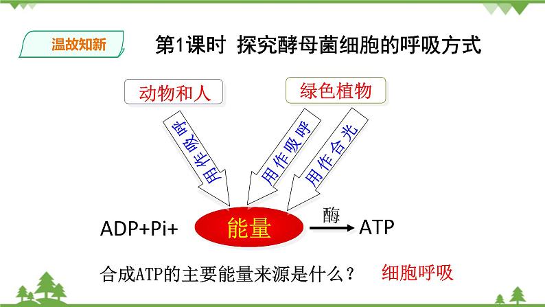 人教版生物必修一5.3 《ATP的主要来源—细胞呼吸》PPT课件+教学设计+同步练习02