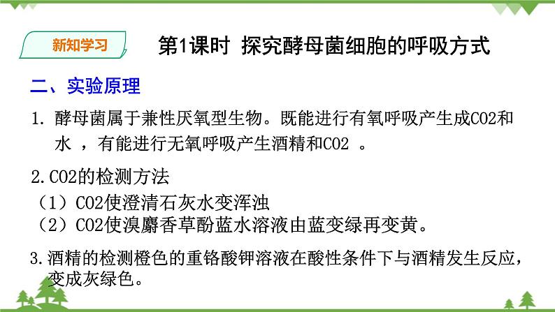 人教版生物必修一5.3 《ATP的主要来源—细胞呼吸》PPT课件+教学设计+同步练习07