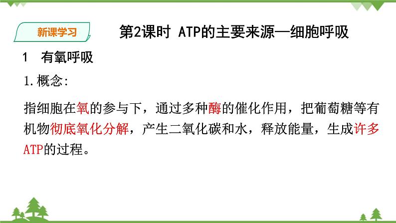 人教版生物必修一5.3 《ATP的主要来源—细胞呼吸》PPT课件+教学设计+同步练习03