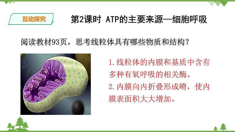 人教版生物必修一5.3 《ATP的主要来源—细胞呼吸》PPT课件+教学设计+同步练习05