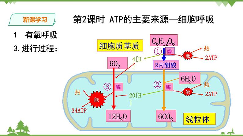 人教版生物必修一5.3 《ATP的主要来源—细胞呼吸》PPT课件+教学设计+同步练习06