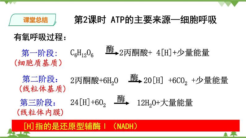 人教版生物必修一5.3 《ATP的主要来源—细胞呼吸》PPT课件+教学设计+同步练习08