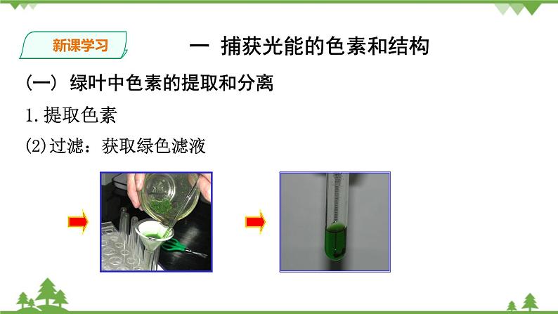 人教版生物必修一5.4（一 ）《捕获光能的色素和结构 》PPT课件+教学设计+同步练习06