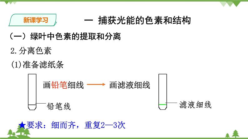 人教版生物必修一5.4（一 ）《捕获光能的色素和结构 》PPT课件+教学设计+同步练习08