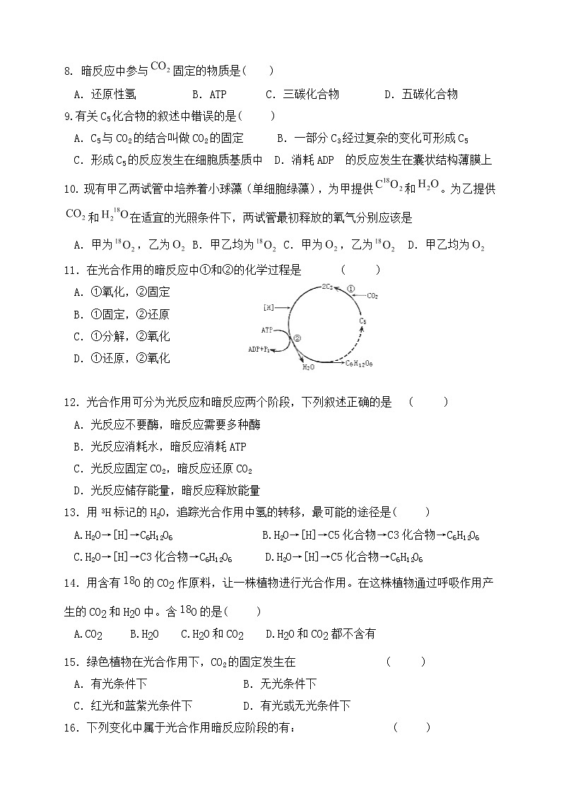 人教版生物必修一5.4（二）《光合作用的原理和应用》PPT课件+教学设计+同步练习02