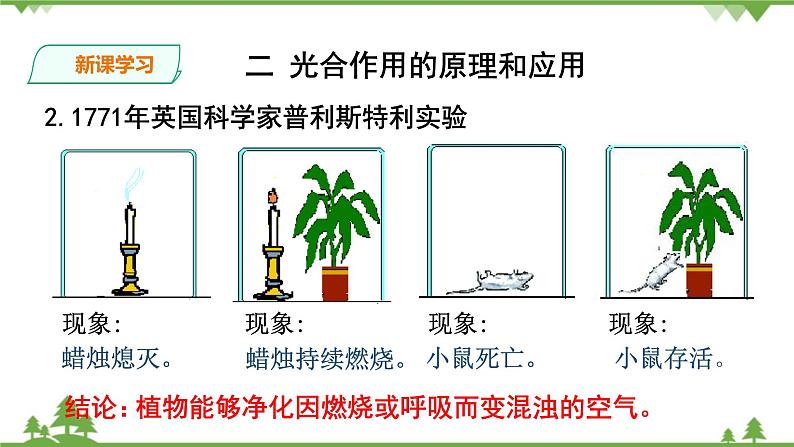 人教版生物必修一5.4（二）《光合作用的原理和应用》PPT课件+教学设计+同步练习05