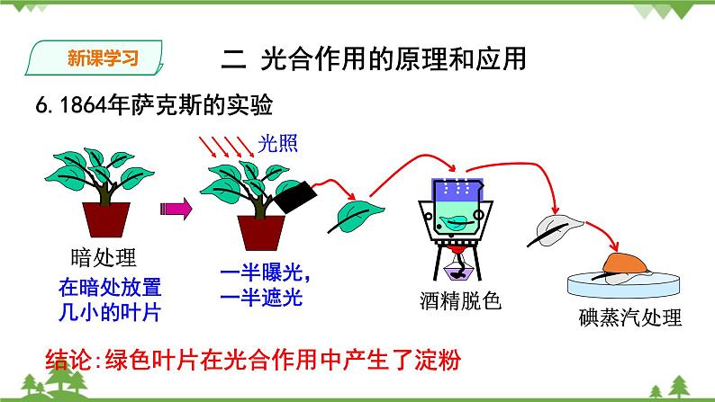 人教版生物必修一5.4（二）《光合作用的原理和应用》PPT课件+教学设计+同步练习08