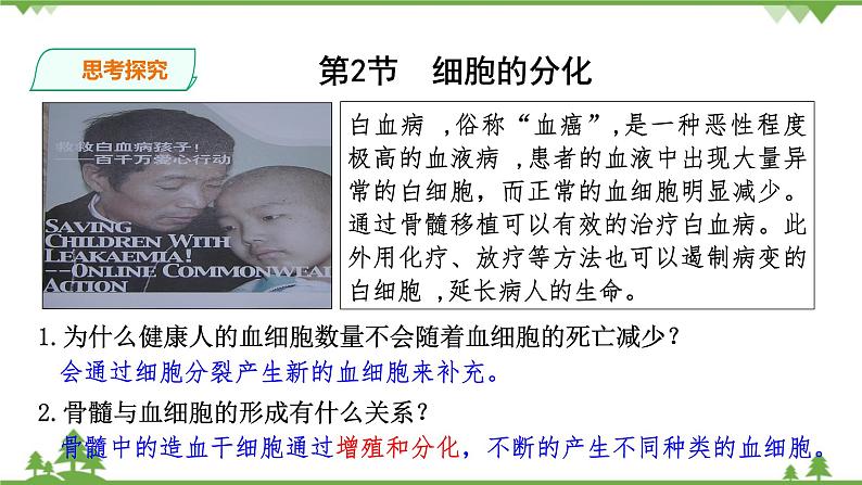 人教版生物必修一6.2《细胞的分化》PPT课件+教学设计+同步练习02