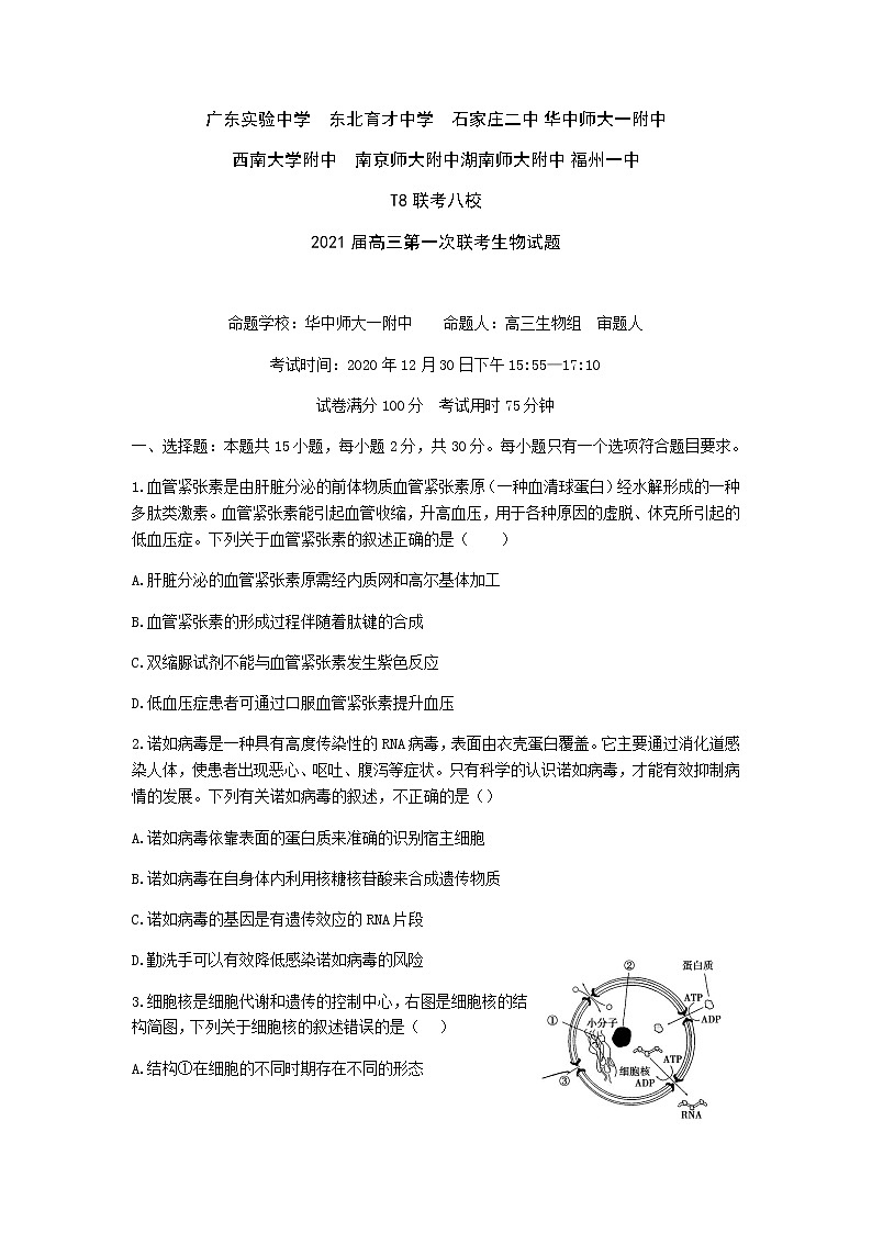 全国新课改省区T8联考2021届高三上学期第一次联考 生物试题（Word版，含答案解析）01