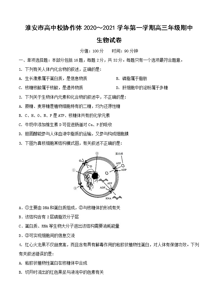 江苏省淮安市高中校协作体2021届高三上学期期中考试 生物（含答案）01