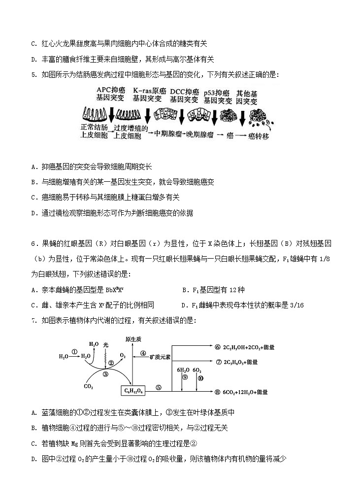 江苏省淮安市高中校协作体2021届高三上学期期中考试 生物（含答案）02